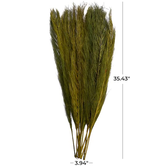 35" Natural Dried Palm Leaf Bundle with Feather-Inspired Stems